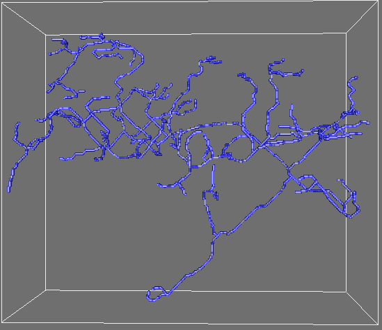 Nerve skeleton rendered by Aphelion(TM)